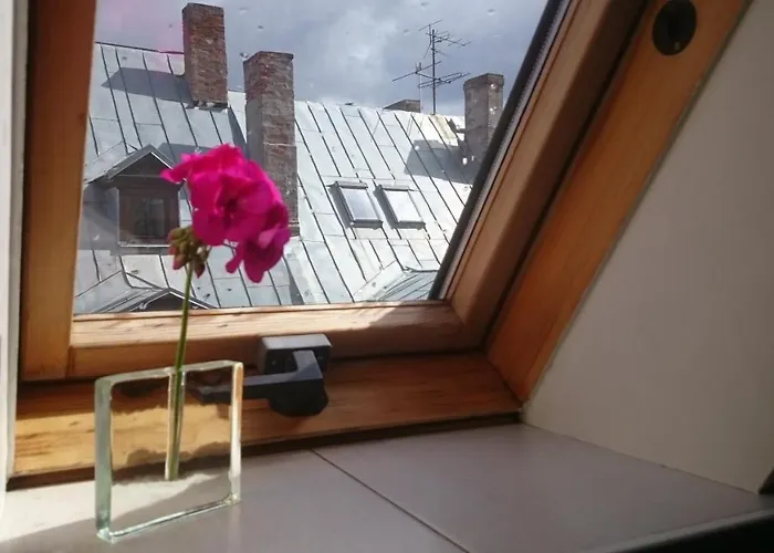 Sunny Mansard In The Heart Of Old Town