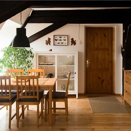 Sunny Mansard In The Heart Of Old Town