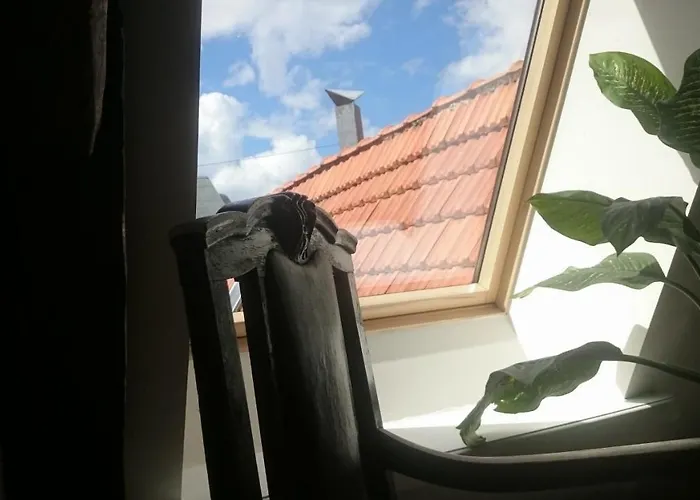 Sunny Mansard In The Heart Of Old Town Апартаменты Рига