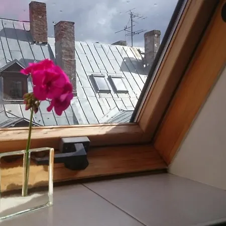 Sunny Mansard In The Heart Of Old Town